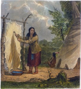 Bölénybőr, 1853